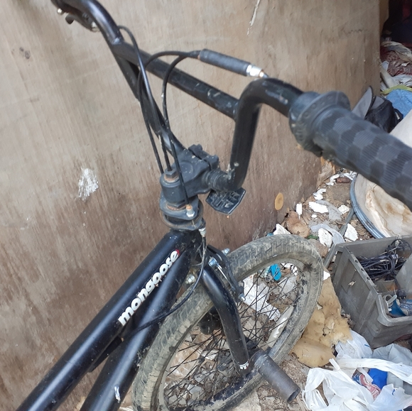 Mongoose brawler - Picture 2 of 3